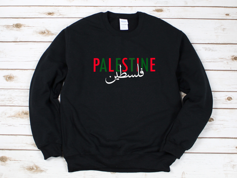 Adults Palestine Sweatshirt